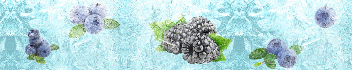 Küchenrückwand Beeren im Eis