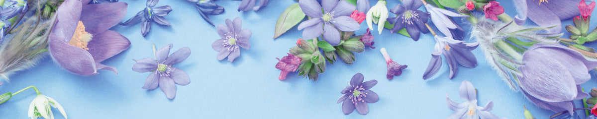 Küchenrückwand Zarte Blüten