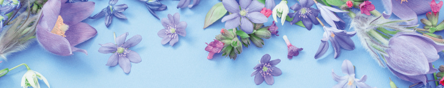 Küchenrückwand Zarte Blüten