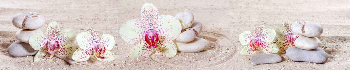 Küchenrückwand Wellness Orchideen