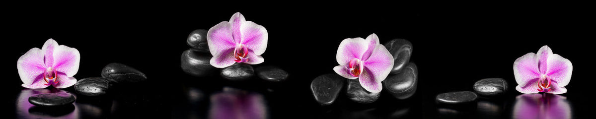 Küchenrückwand Zen Orchideen