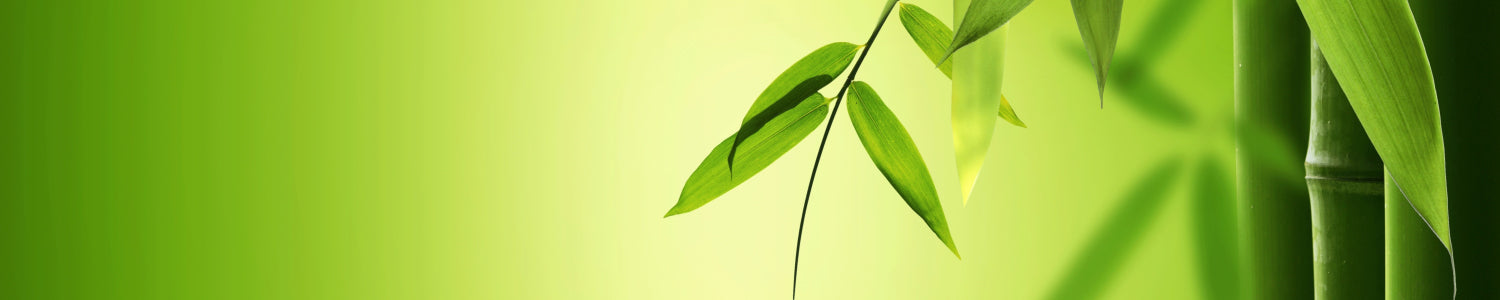 Küchenrückwand Zen Bambus