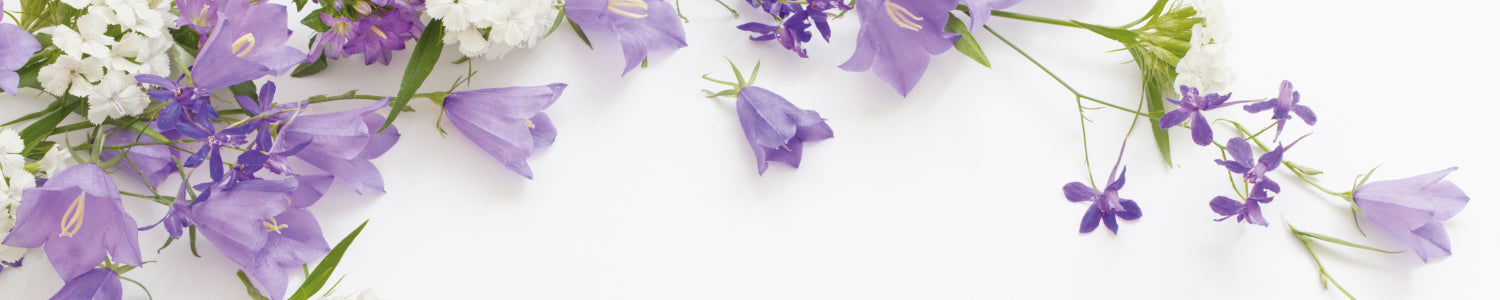 Küchenrückwand Glockenblumen Arrangement