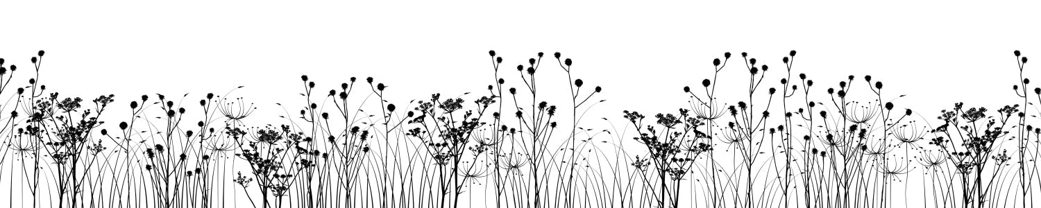 Küchenrückwand Florale Linien