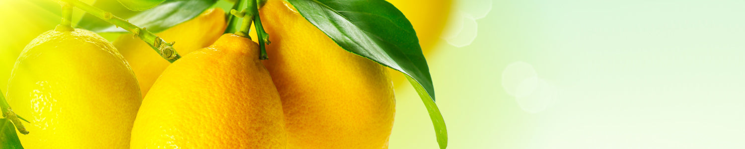 Küchenrückwand Frische Zitrone