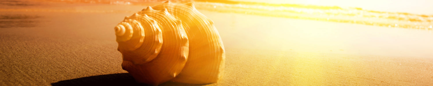 Küchenrückwand Sonnenuntergang am Strand