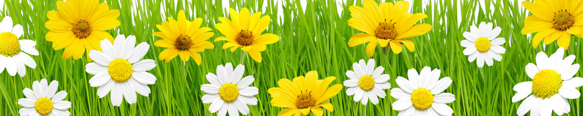 Küchenrückwand mit Blumenmotiv