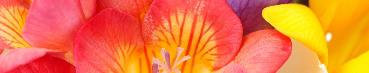 Küchenrückwand Blumen Design