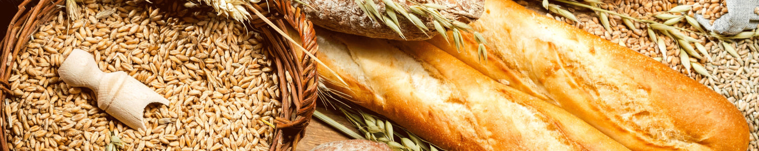 Küchenrückwand Baguette & Getreide