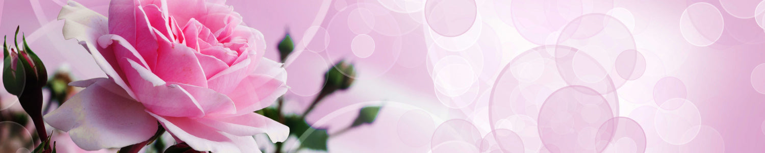 Küchenrückwand mit Rosenmotiv