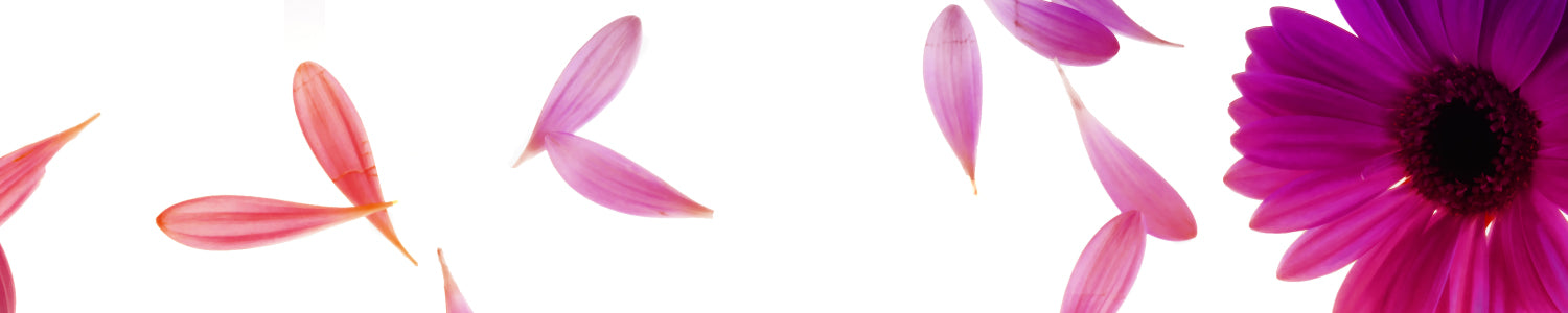 Küchenrückwand mit Blüten