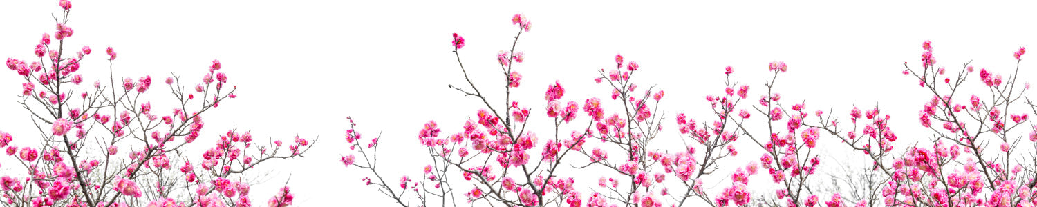 Küchenrückwand Blütenmotiv