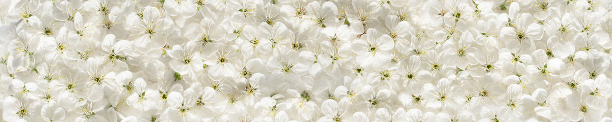Küchenrückwand Blütenmeer Weiß