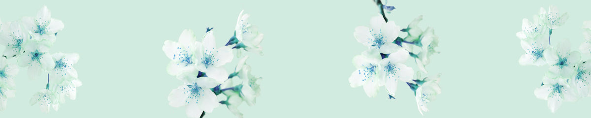 Küchenrückwand Frühlingsblüten Elegant