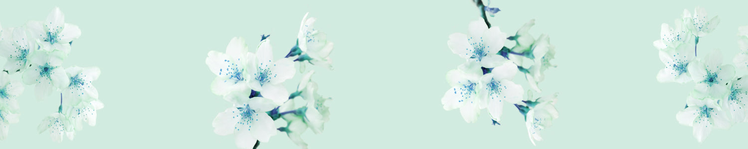 Küchenrückwand Frühlingsblüten Elegant