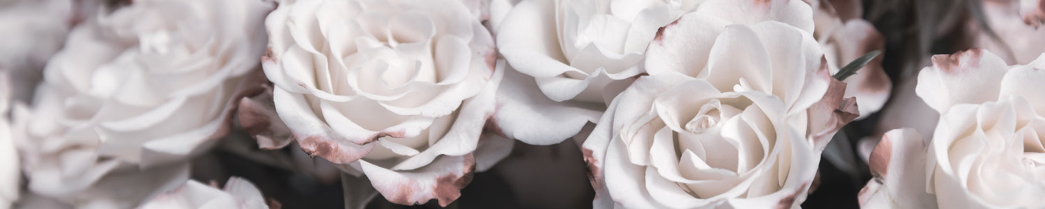 Küchenrückwand Blumenmotiv Romantik