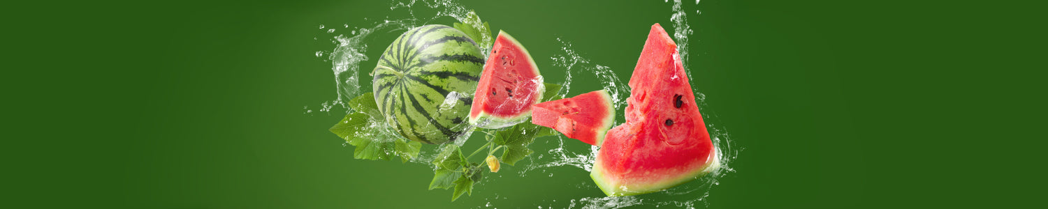 Küchenrückwand Wassermelone Splash