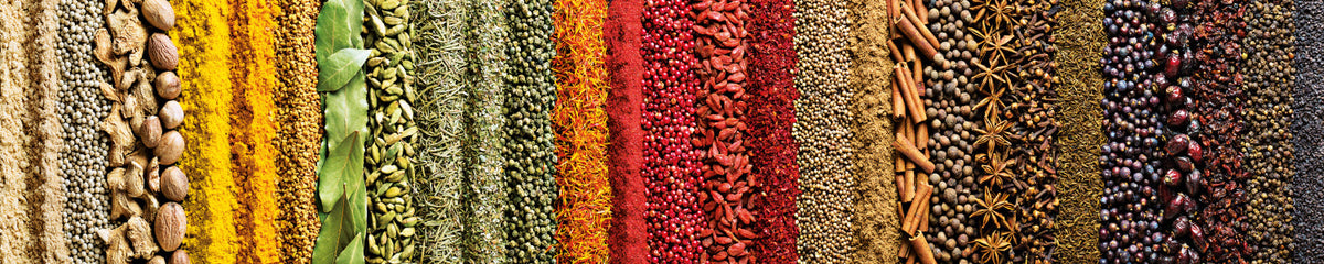 Küchenrückwand Exotische Gewürze