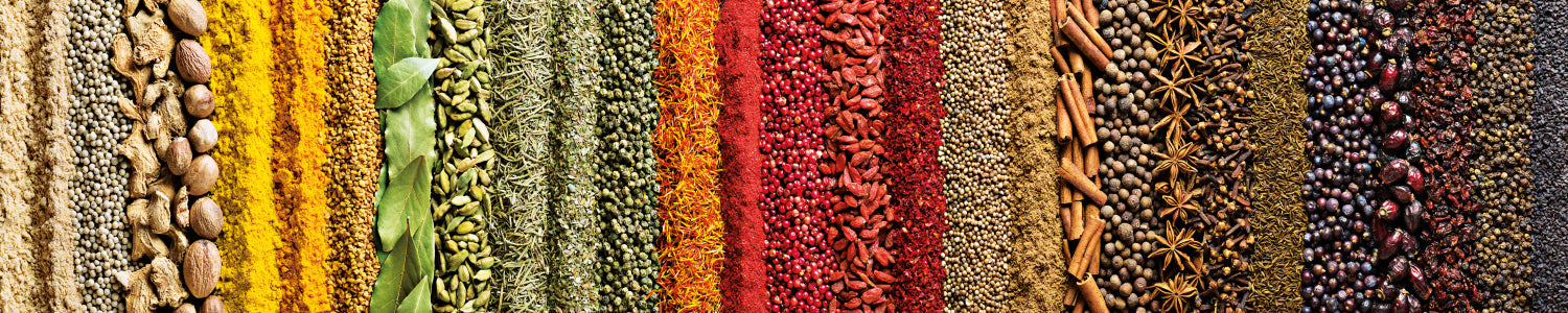 Küchenrückwand Exotische Gewürze