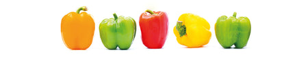 Küchenrückwand Bunte Paprika