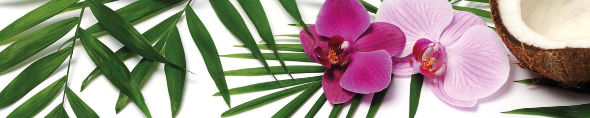 Küchenrückwand Orchidee und Kokos Design