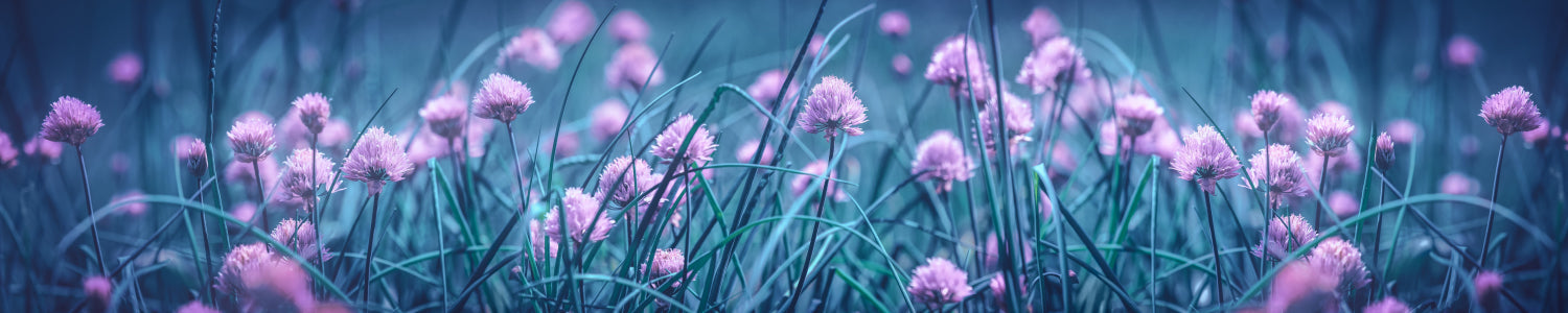 Küchenrückwand Frühlingswiese Pastell