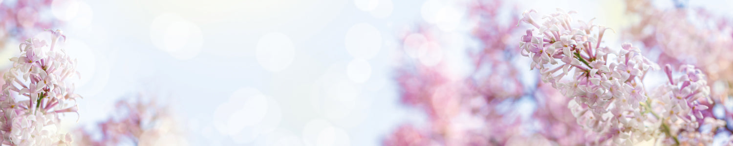 Küchenrückwand Florales Motiv Romantik