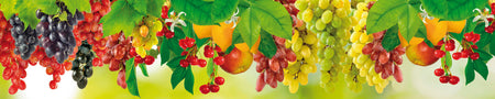 Küchenrückwand Früchte & Trauben Bunt