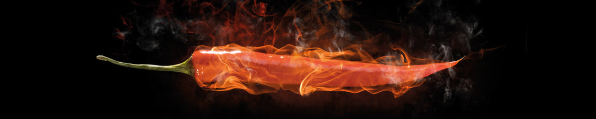 Küchenrückwand Scharfe Chili Flamme