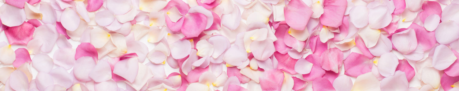 Küchenrückwand Rosenblätter in Rosa & Weiß