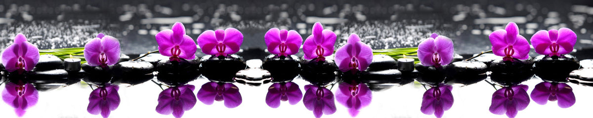 Küchenrückwand Orchideen & Steine