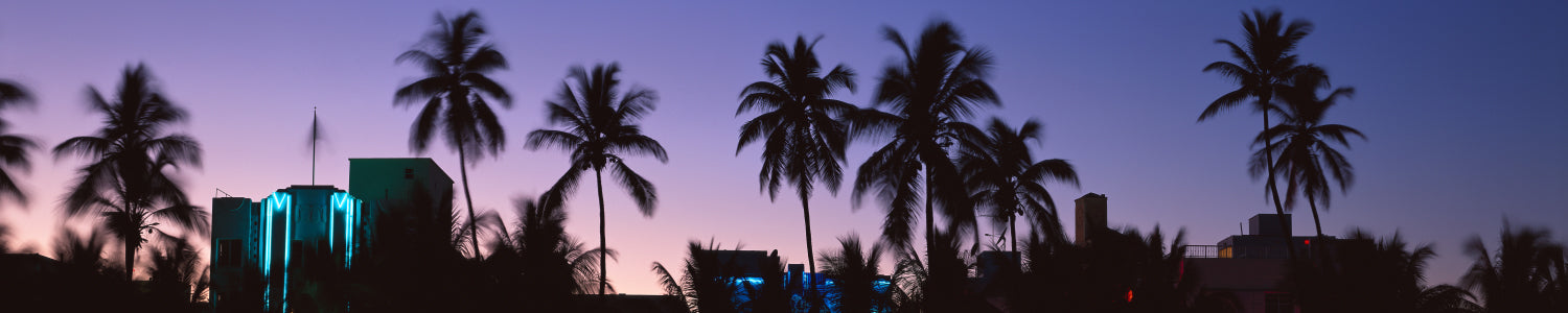 Küchenrückwand Palmen bei Sonnenuntergang