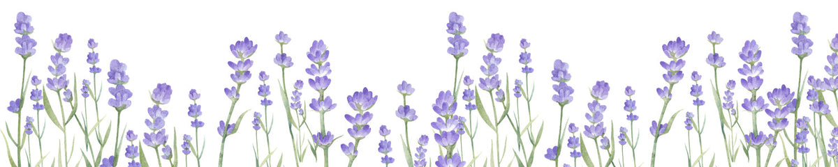 Küchenrückwand Lavendel Blüten