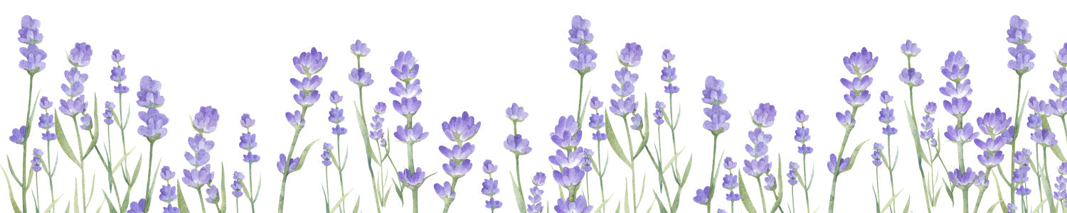 Küchenrückwand Lavendel Blüten