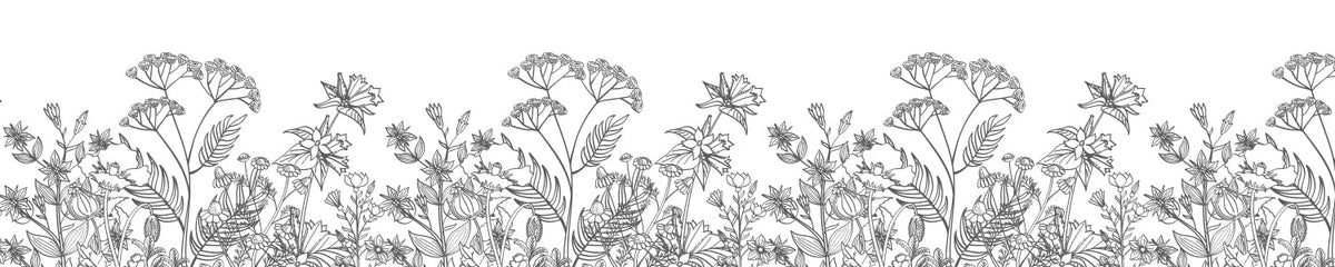 Küchenrückwand Wiesenblumen Schwarz Weiß