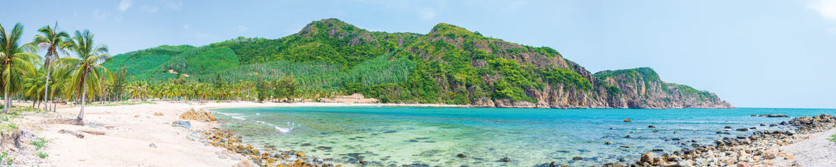 Küchenrückwand Tropischer Strand mit Palmen