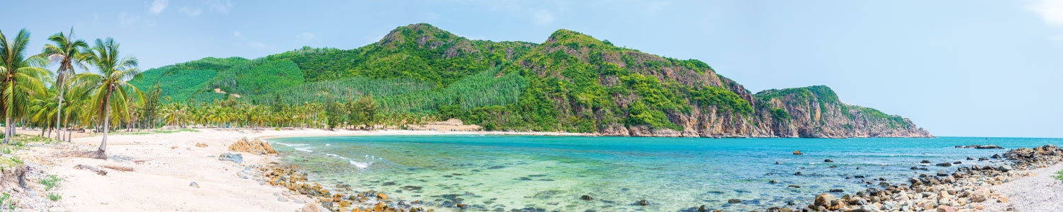 Küchenrückwand Tropischer Strand mit Palmen