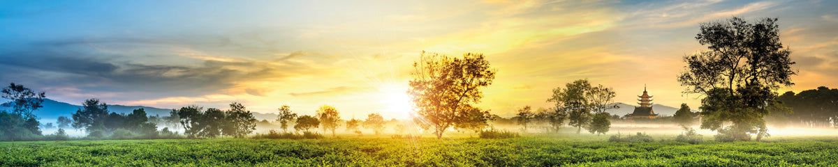 Küchenrückwand Sonnenaufgang