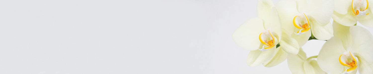 Küchenrückwand Weiße Orchidee