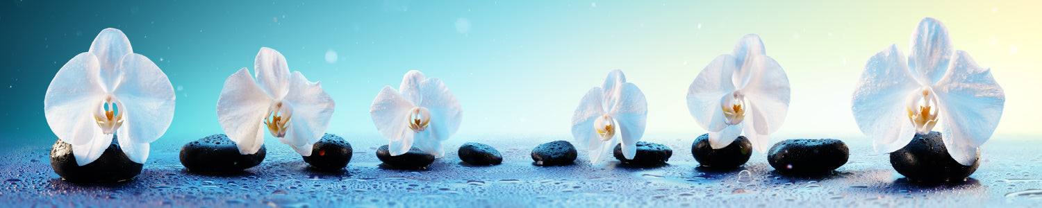 Küchenrückwand Spa Motiv mit Blüten