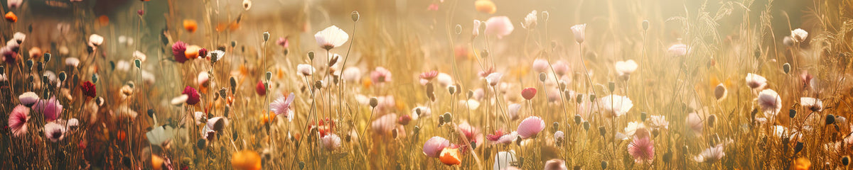 Küchenrückwand Blütenfeld Naturmotiv