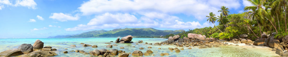 Küchenrückwand Tropischer Strand mit Palmen