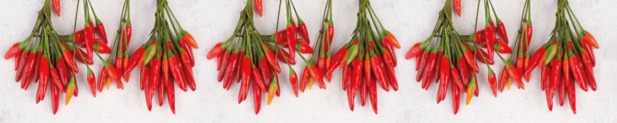 Küchenrückwand Rote Chilischoten