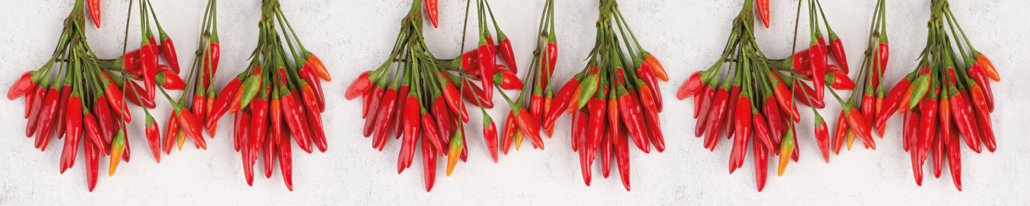 Küchenrückwand Rote Chilischoten