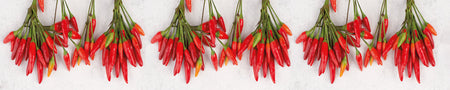 Küchenrückwand Rote Chilischoten