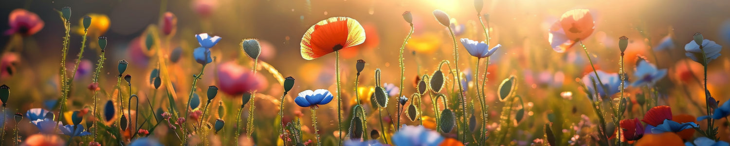 Küchenrückwand Sommerliche Wildblumen