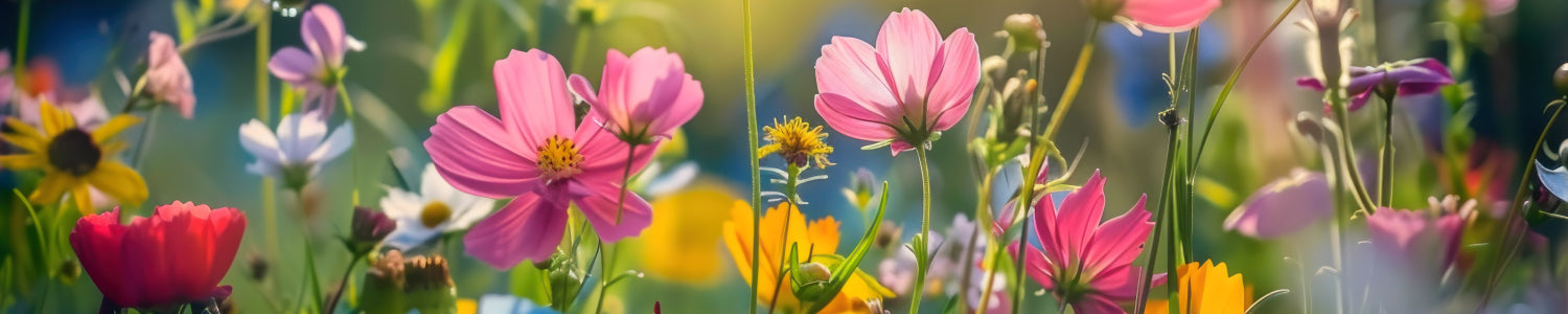Küchenrückwand Bunte Sommerblumenwiese