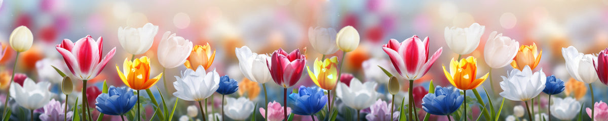 Küchenrückwand Bunte Tulpenwiese