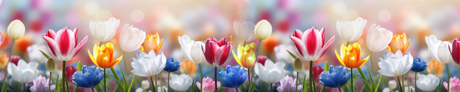 Küchenrückwand Bunte Tulpenwiese