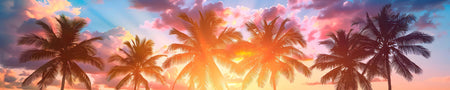 Küchenrückwand Palmen im Sonnenuntergang